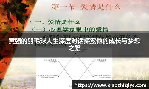 3377体育官网