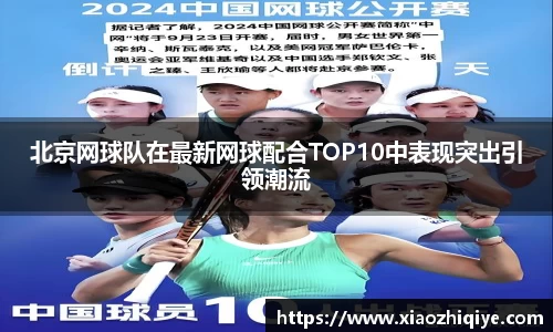 3377体育官网