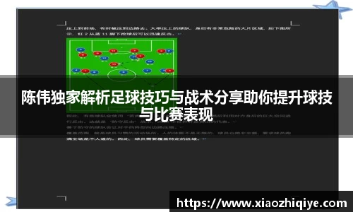 3377体育官网