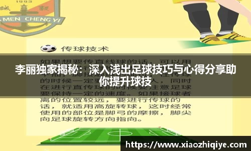 3377体育