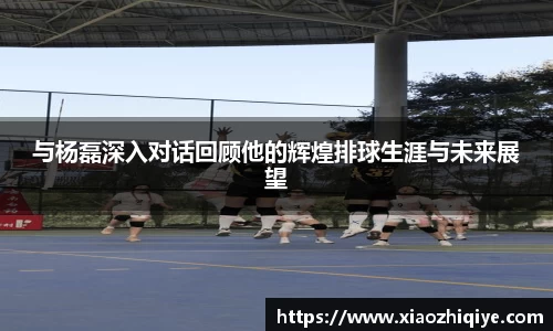 3377体育官网下载