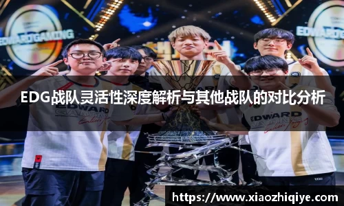 3377体育官网下载