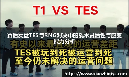 3377体育官网下载