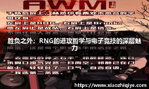 3377体育官网下载