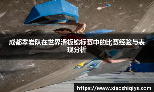 3377体育官网下载