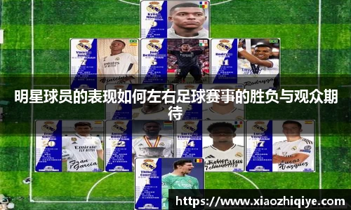 3377体育官网下载