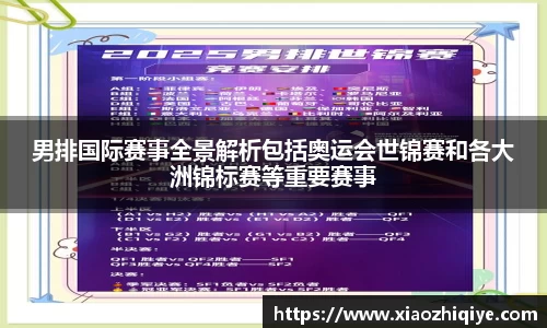 3377体育官网下载