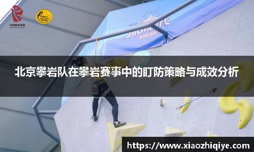 3377体育官网