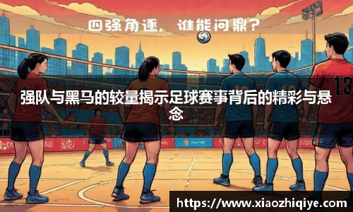 3377体育官网