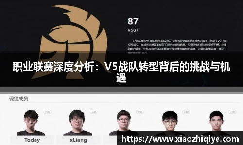 3377体育官网