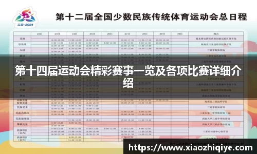 3377体育官网下载