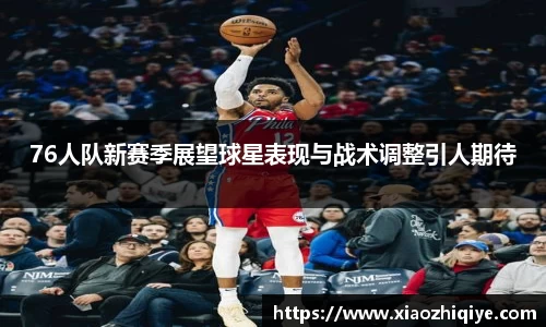 3377体育官网