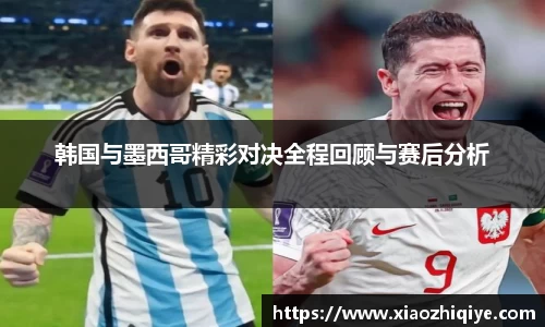 3377体育官网下载