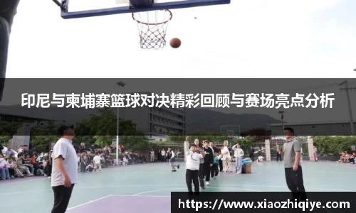 3377体育