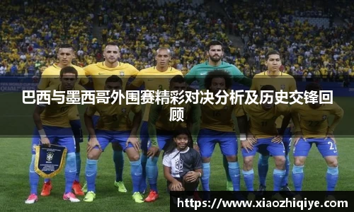 3377体育官网下载