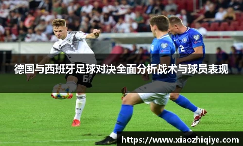 3377体育官网下载
