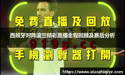 3377体育官网下载