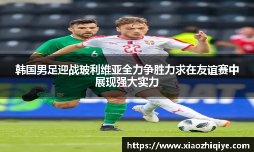 3377体育官网