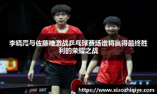 3377体育官网下载