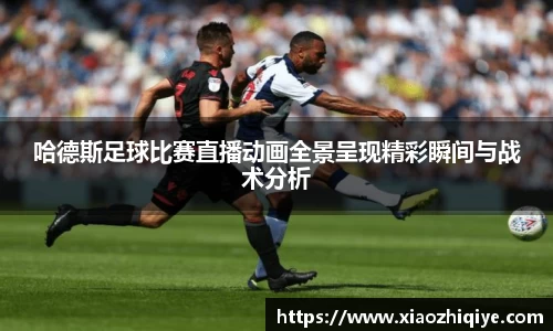 3377体育官网