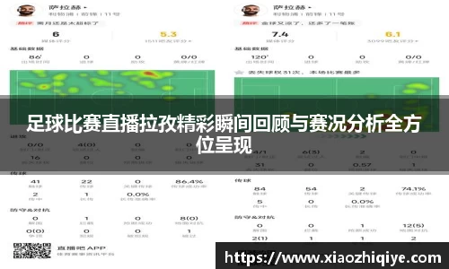 3377体育官网