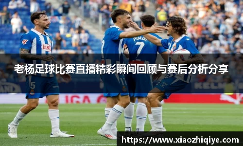 3377体育官网下载