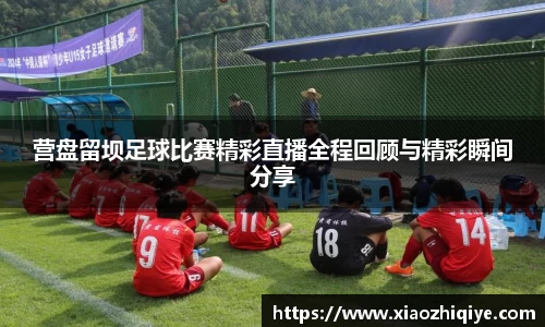3377体育官网下载