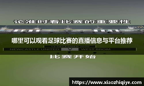 3377体育官网下载