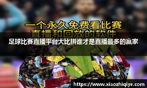 3377体育官网下载