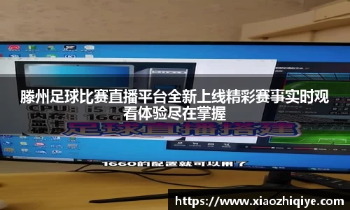 3377体育