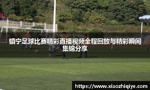 3377体育官网下载