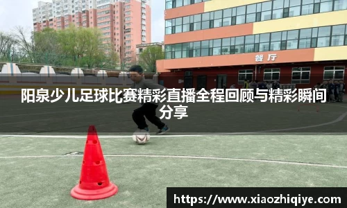 3377体育APP