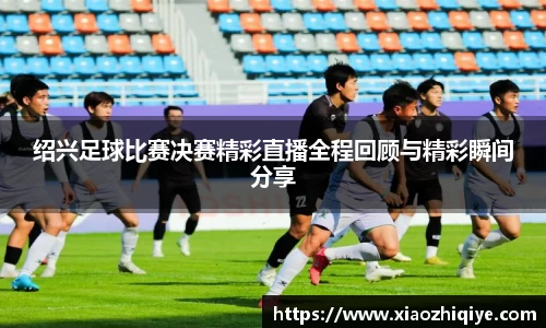 3377体育官网