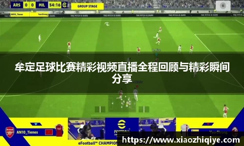 3377体育官网下载