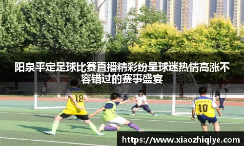 3377体育官网