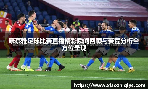 3377体育官网下载