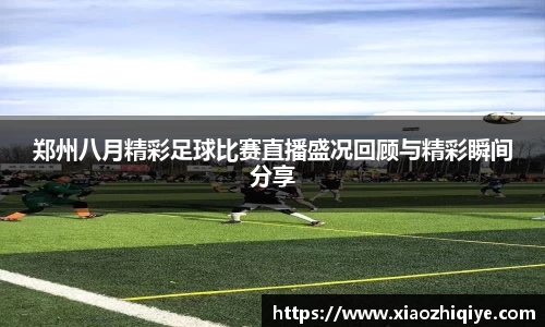 3377体育官网下载