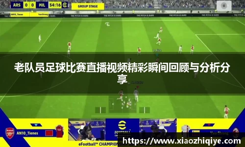 3377体育