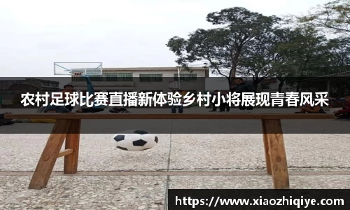 3377体育官网