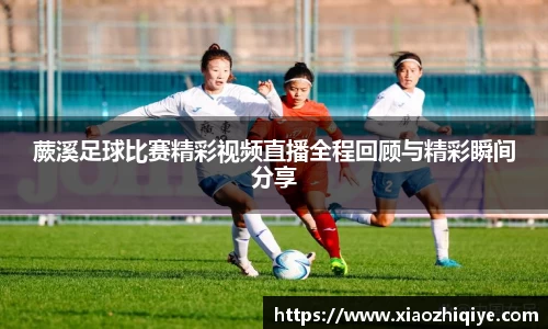 3377体育官网