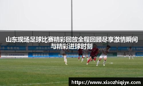 3377体育官网