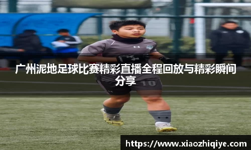 3377体育官网下载
