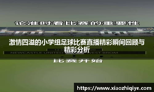 3377体育官网