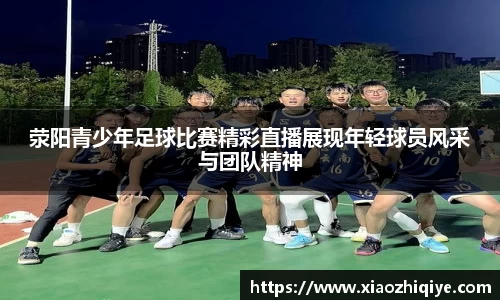 3377体育官网下载