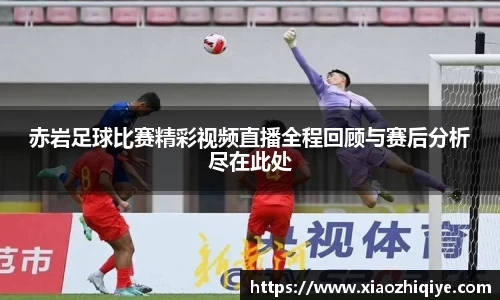 3377体育官网下载