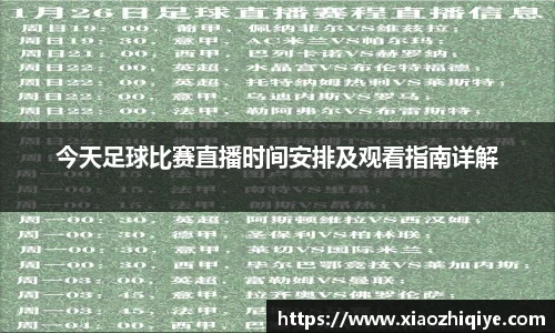 3377体育官网