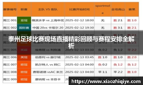 3377体育官网下载