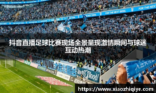 3377体育官网