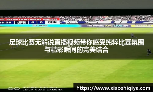 3377体育官网下载