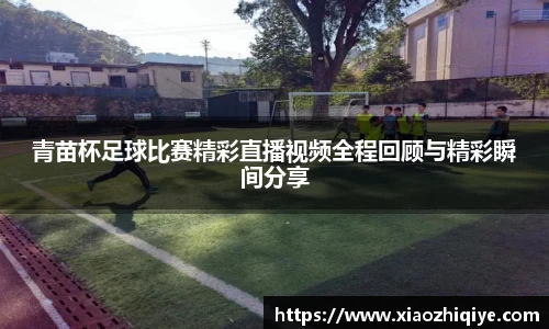 3377体育官网
